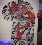 <b>老传统蛇牡丹花纹身手稿</b>