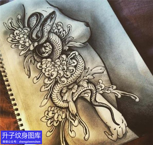 蛇菊花纹身手稿