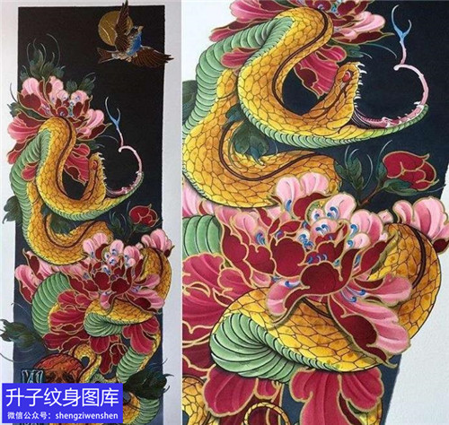 蛇与牡丹花纹身手稿图案