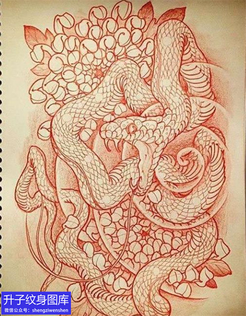 蛇与菊花纹身手稿图案