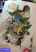 <b>沙坪坝蛇与菊花纹身手稿</b>