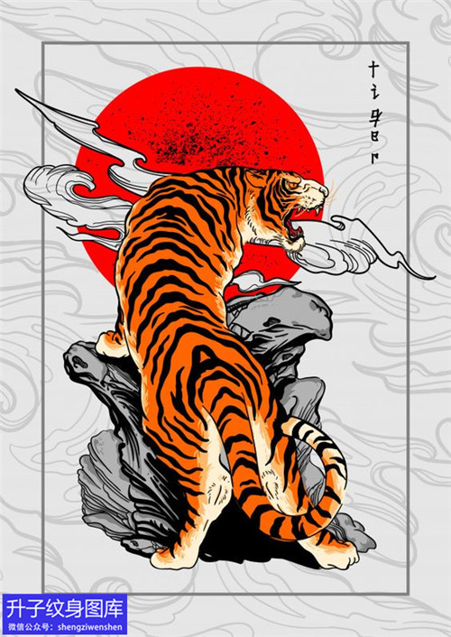 南坪纹身-彩色上山虎纹身手稿图案