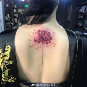 后背彼岸花纹身图案  重庆纹身本店作品