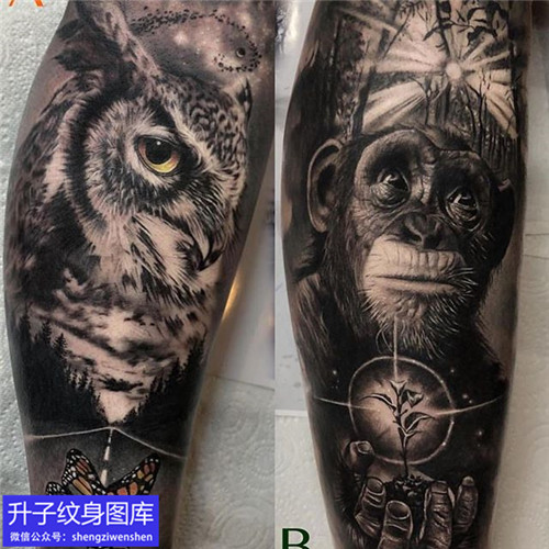 重庆纹身店推荐的黑灰写实猫头鹰猩猩纹身图案