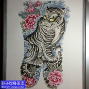 <b>满背老传统牡丹花与老虎纹身手稿图案</b>