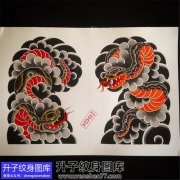 <b>老传统半甲蛇纹身手稿图案</b>