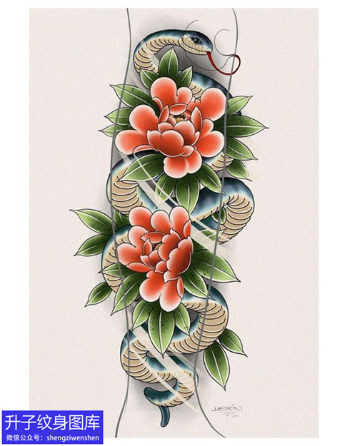 蛇与牡丹花纹身手稿图案