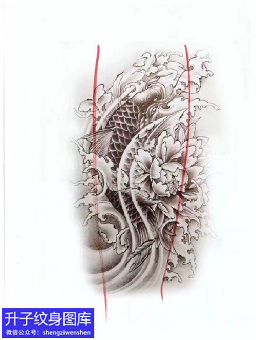鲤鱼牡丹花纹身手稿