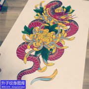 <b>杨家坪彩色蛇菊花纹身手稿图案</b>