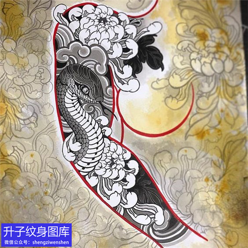 传统菊花与蛇纹身手稿图案