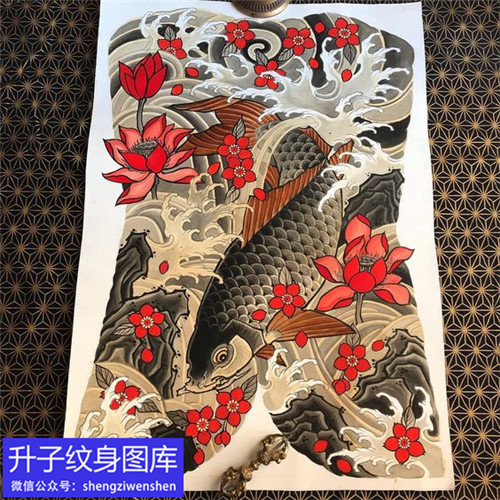传统满背鲤鱼荷花纹身手稿图案