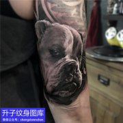 <b>手臂黑猴写实狗狗纹身图案</b>