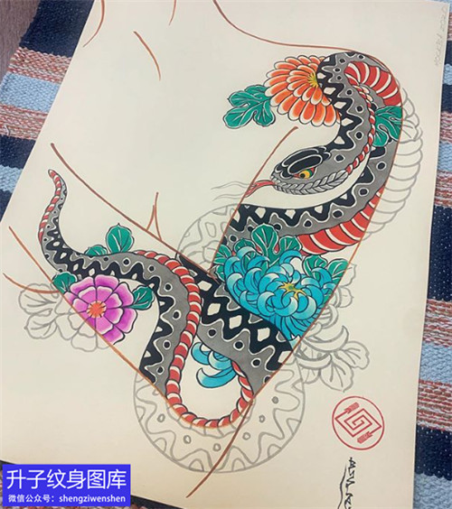 传统蛇菊花纹身手稿图案