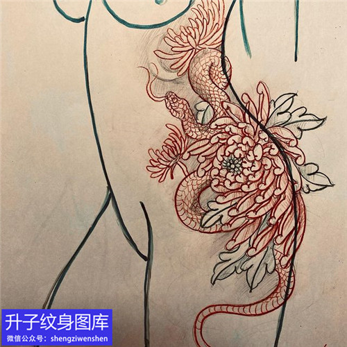 传统蛇菊花纹身手稿图案