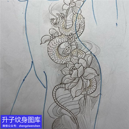 蛇荷花纹身手稿图案