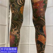 <b>老传统菊花鲤鱼花腿纹身图案</b>