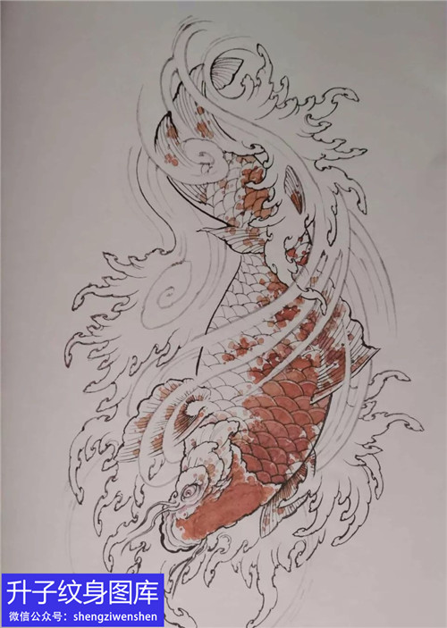 传统红色鲤鱼纹身手稿图案