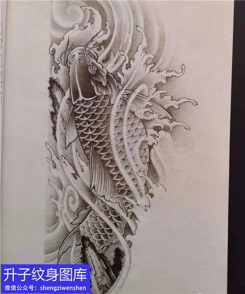 传统鲤鱼纹身手稿图片
