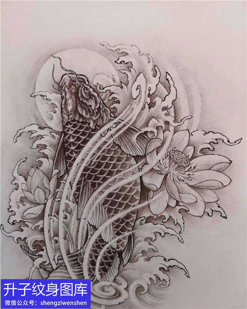 鲤鱼荷花纹身手稿图案