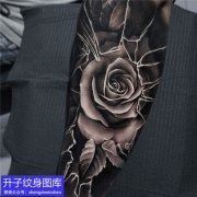 <b>手臂暗黑玫瑰花纹身图案</b>