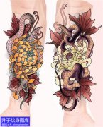 <b>传统蛇菊花纹身手稿图案</b>