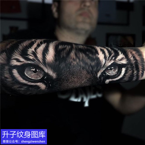 手臂欧美写实老虎纹身图案