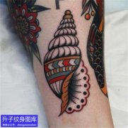 <b>彩色old school海螺纹身图案</b>