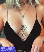 <b>胸部植物玫瑰花纹身图案</b>