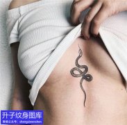 <b>胸部蛇纹身图案</b>