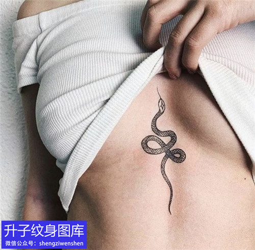 胸部蛇纹身图案