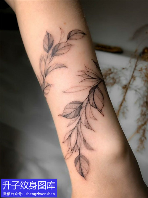 植物花藤臂环纹身图案