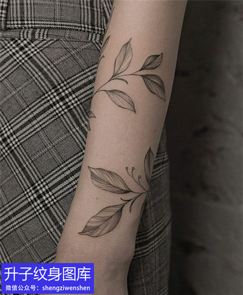 植物花藤臂环纹身图案
