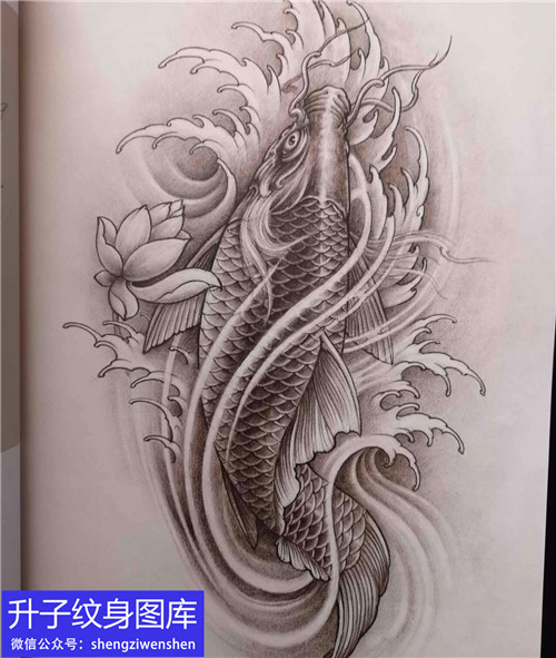 传统黑灰鲤鱼荷花纹身手稿图案
