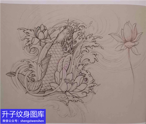 传统半甲鲤鱼荷花纹身手稿图案