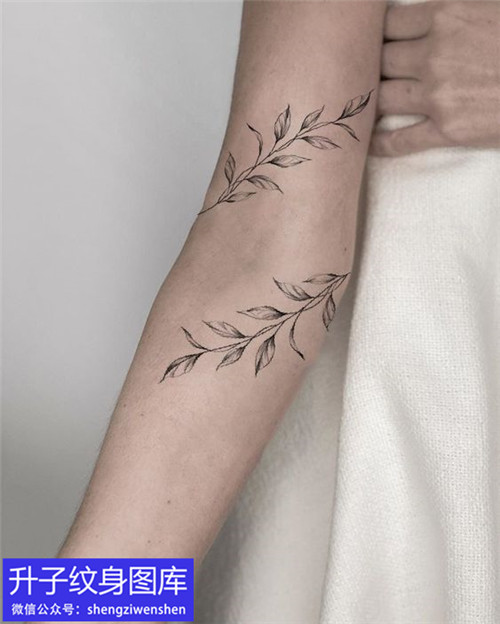 手臂植物画环纹身图案