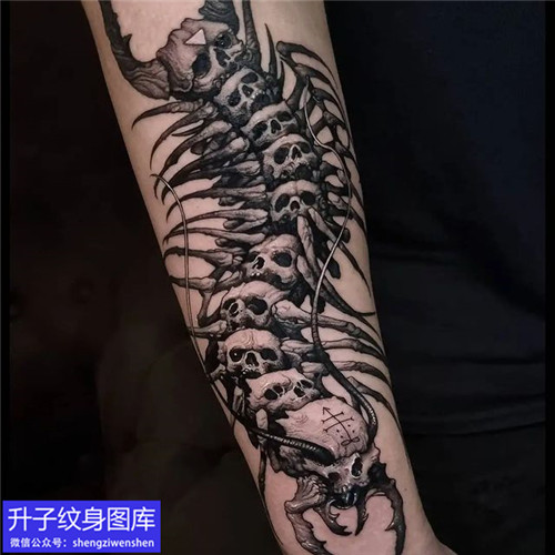 手臂内侧暗黑蜈蚣纹身图案