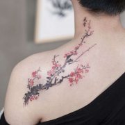 肩膀植物梅花纹身图案