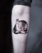 <b>手臂内侧精致猫咪纹身</b>