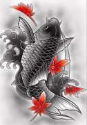 传统鲤鱼纹身手稿图案图片