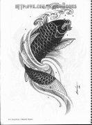 传统鲤鱼纹身手稿