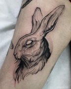 暗黑兔子纹身
