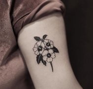 大臂内侧植物花卉纹身