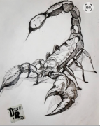 暗黑蝎子纹身手稿图案