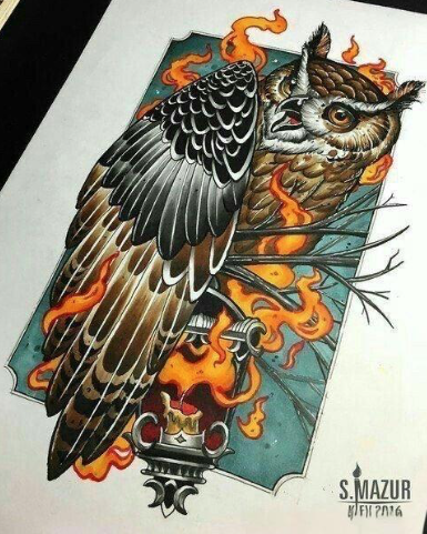 彩色猫头鹰纹身手稿图案