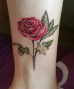 脚踝植物玫瑰花纹身图案