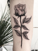 手臂黑灰玫瑰花纹身图案